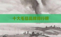 十大毛毯品牌排行榜