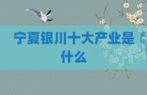 宁夏银川十大产业是什么