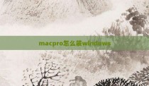 macpro怎么装windows