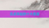 五点早起的十大危害