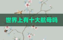 世界上有十大航母吗