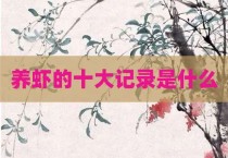 养虾的十大记录是什么