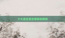 十大适合混合喂养的狗狗