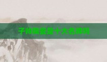 子帅陶瓷是十大名牌吗