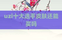 uzi十大选手皮肤还能买吗