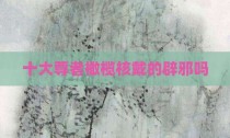 十大尊者橄榄核戴的辟邪吗