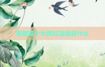 有氧操十大网红运动是什么
