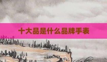 十大品是什么品牌手表