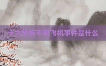 十大恐怖不明飞机事件是什么