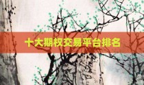 十大期权交易平台排名