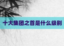 十大集团之首是什么级别