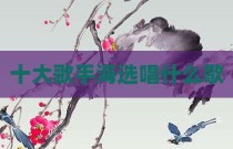 十大歌手海选唱什么歌