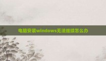 电脑安装windows无法继续怎么办