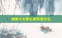 缅甸十大恶心事件是什么