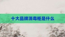 十大品牌消毒柜是什么