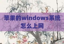 苹果的windows系统怎么上网