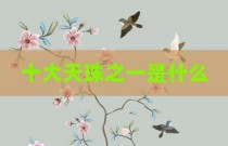 十大天珠之一是什么