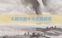 人脸识别十大名牌排名