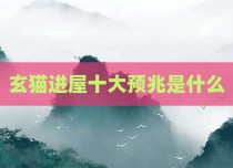 玄猫进屋十大预兆是什么