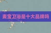 麦宝卫浴是十大品牌吗
