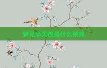 梦见小男孩是什么预兆