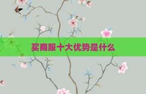 买商服十大优势是什么