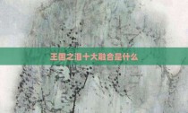 王国之泪十大融合是什么