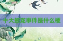 十大蛟龙事件是什么梗