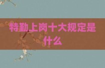 特勤上岗十大规定是什么
