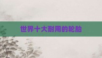 世界十大耐用的轮胎