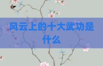 风云上的十大武功是什么