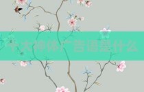 十大神体广告语是什么