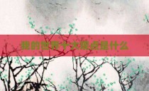我的世界十大观点是什么
