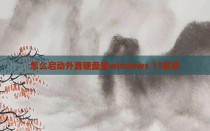 怎么启动外置硬盘里windows 11系统