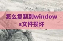 怎么复制到windows文件损坏