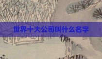 世界十大公司叫什么名字