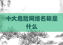 十大危险网络名称是什么