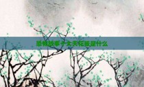 恐怖故事十大天花板是什么