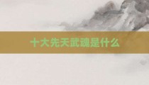 十大先天武魂是什么