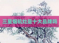 三星烟机灶是十大品牌吗