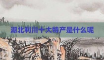 湖北利川十大特产是什么呢