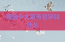 商洛十大草药名字叫什么