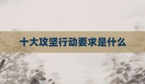 十大攻坚行动要求是什么