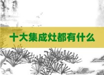 十大集成灶都有什么
