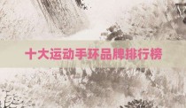 十大运动手环品牌排行榜