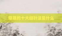 隐藏的十大缝针法是什么