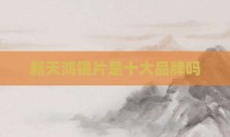 新天鸿镜片是十大品牌吗