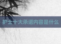 护士十大承诺内容是什么