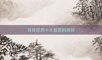 寻找世界十大最美的树林