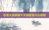 石昊大战异族十大强者是什么级别